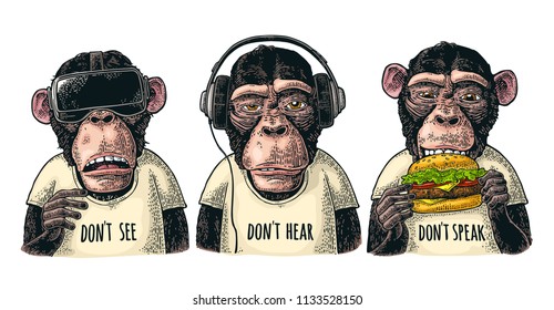 Three wise monkeys in headphones, virtual reality headset,and burger. Not see, not hear, not speak. Vintage color engraving illustration for poster. Isolated on white background