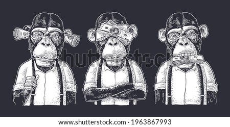 Three wise monkeys with money on ears, eyes, mouth. Not see, not hear, not speak. Vintage white engraving illustration for poster. Isolated on black background
