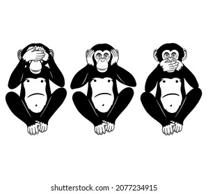 Three Wise Monkeys, Three Mystic Apes chimp sitting isolated on white background. See hear say concept. Vector monochrome totem illustration