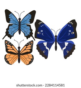 Three wonderful different meteletics on a white background. Flat vector illustration EPS10
