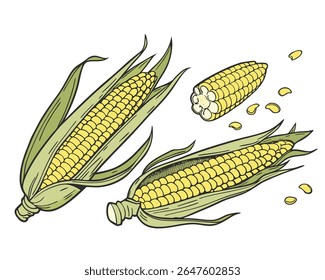Three yellow corn cobs with green husks and leaves, and scattered corn kernels on a white background.