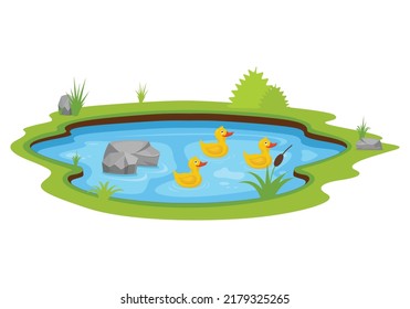 Three yellow ducks swimming in the pond vector illustration. Duck cartoon character