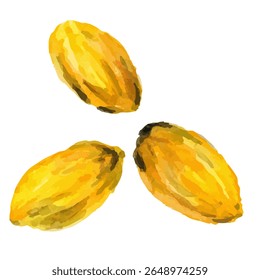 three yellow lemons are shown on a white background
