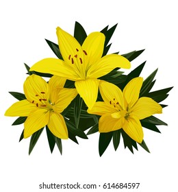 Three yellow lilies with green leaves on a white background.