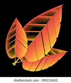 three yellow tree wilted leaf against a black background