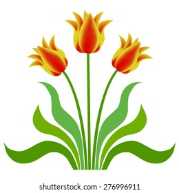 Three yellow tulips with red stripe with leaves