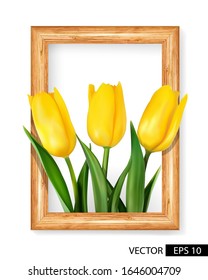 Three yellow tulips in a wooden frame, portrait, on the wall, with green leaves. Isolated.