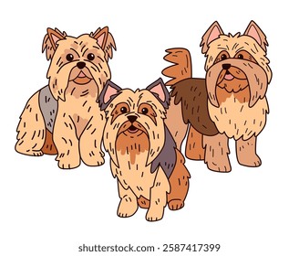 Three Yorkshire Terriers cute playful dogs illustration. Adorable trio with shaggy fur and expressive eyes on a white background. Perfect for pet-themed designs