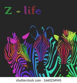 Three Zebras colorful portrait poster. Z-life slogan. Vector illustration.
