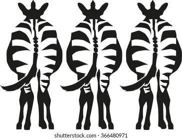 Three zebras standing showing there back