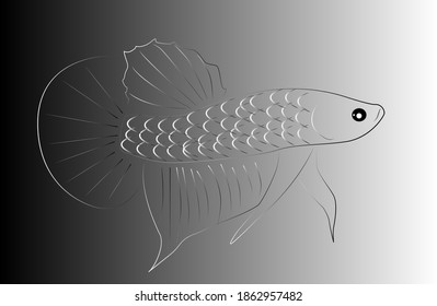 Ilustración de silueta de peces betta tridimensional Para una hermosa imagen de fondo