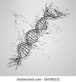 Three-dimensional dna molecule consist of randomly moving particles . Dotted quicksand wave at motion . Abstract vector illustration  Science concept background. Destroyed structure . Nano technology 