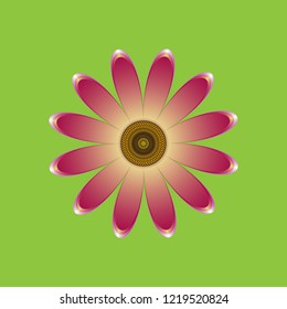 Three-dimensional drawing of single flower maroon daisies made of simple geometric shapes on a green background, icon, vector
