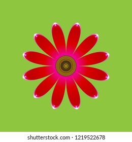 Three-dimensional drawing single flower red-pink daisies made of simple geometric shapes on a green background, icon, vector