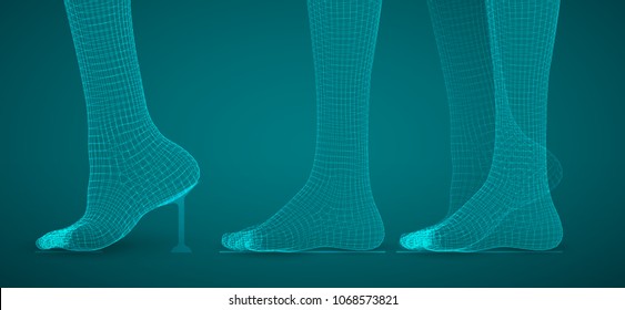 three-dimensional female feet. vector template. finished item. feet care