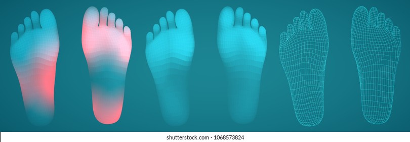 Three-dimensional Female Feet. Vector Template. Finished Item. Feet Care