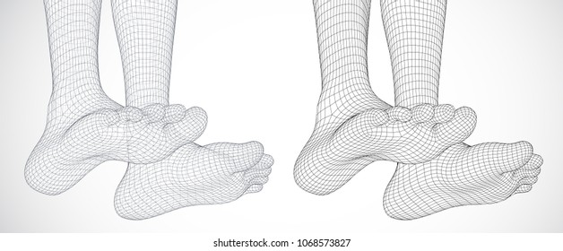 three-dimensional female feet. vector template. finished item. feet care