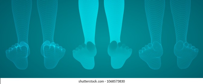 three-dimensional female feet. vector template. finished item. feet care
