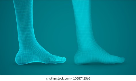 three-dimensional female feet. vector template. finished item. feet care