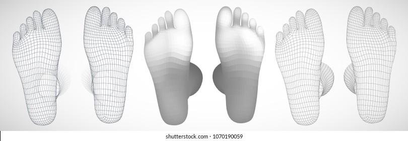 three-dimensional female feet. vector template. finished item. feet care