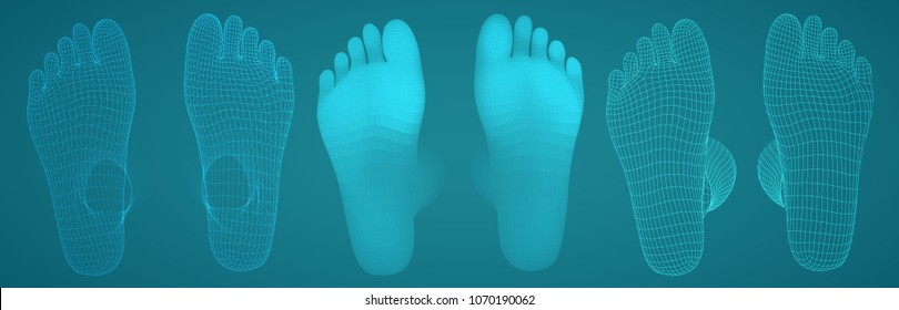 three-dimensional female feet. vector template. finished item. feet care