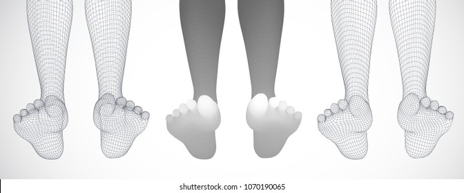 three-dimensional female feet. vector template. finished item. feet care