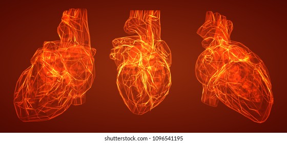 a three-dimensional human heart on a dark red background. vector template