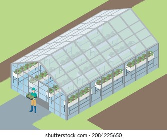 A three-dimensional illustration of a greenhouse and a green house drawn with isometrics. Farmer. White background. Agriculture.