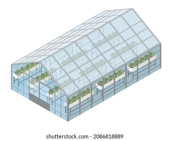 A three-dimensional illustration of a greenhouse and a green house drawn with isometrics. White background. Agriculture.