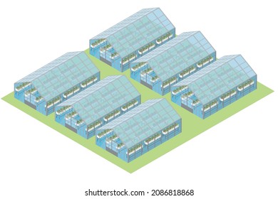 A three-dimensional illustration of a large greenhouse, a green house, drawn with isometrics. Agriculture.