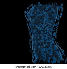 A three-dimensional image of a female body. Breaks up into parts. vector eps 10