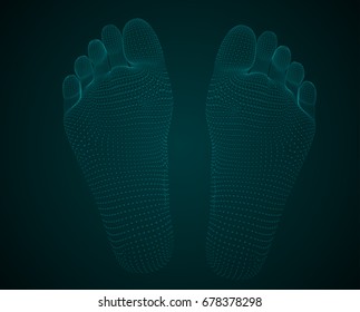 Three-dimensional image of human feet. View from the bottom. Vector image