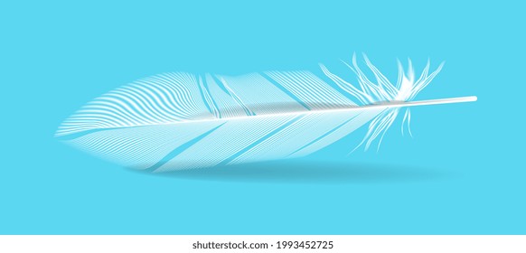 Three-dimensional soft feather isolated on blue background