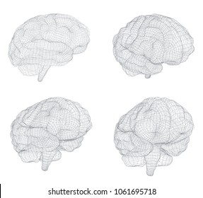 three-dimensional vector cyber brain. neural network mega-data processing, template interface design on a white background.