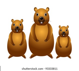 Threee marmots isolated in white, cartoon.
