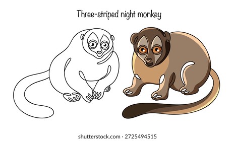 Mono nocturno de tres rayas. Dos Pequeños monos dibujados a mano con una cabeza redondeada, Grandes ojos expresivos, un hocico corto y una larga cola. Vector aislado sobre el tema de los animales.