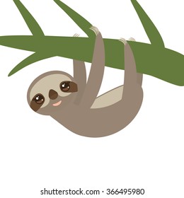 Three-toed sloth on green branch on white background. Vector