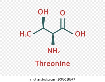 Threonine chemical formula. Threonine structural chemical formula isolated on transparent background.