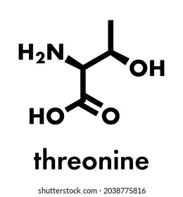 Threonine (l-threonine, Thr, T) amino acid molecule. Skeletal formula.