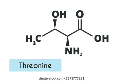 Threonine Molecule Structure.(l-threonine, Thr, T). Skeletal formula. Amino acid.