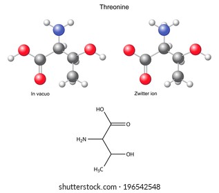 Threonine (Thr) - chemical structural formula and models, amino acid, in vacuo, zwitterion, 2D and 3D illustration, balls and sticks, isolated on white background, vector, eps8