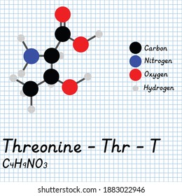 Threonine - Thr - T Amino Acid molecular formula and chemical structure . 2D Ball and stick model on school paper sheet background. EPS10