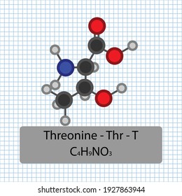 Threonine Thr T Amino Acid Molecular Stock Vector (Royalty Free ...