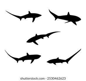 Thresher Shark em diferentes poses silhueta vetor ilustração stock