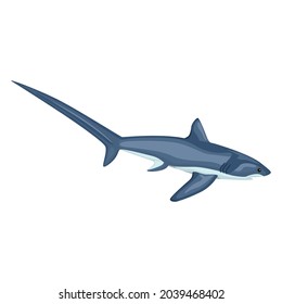 Thresher shark isolated on white background. Cartoon character of ocean for children. Simple print with marine mammal. Design for any purposes. Vector illustration.