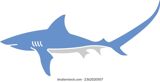 thresher shark shark ocean animal fish