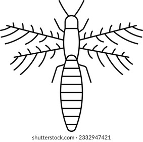 thrip serangga creature bug insect Outline