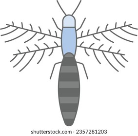 thrip serangga creature bug insect