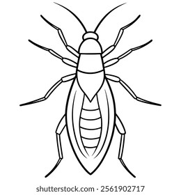 Thrips insect flat vector illustration on white background