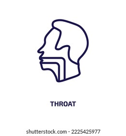 throat icon from people collection. Thin linear throat, health, medicine outline icon isolated on white background. Line vector throat sign, symbol for web and mobile